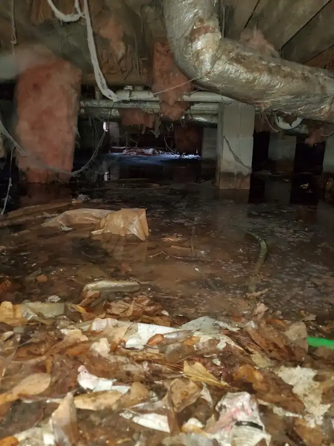 Crawl space flood assessment for Commercial Water Damage Restoration in Waikele