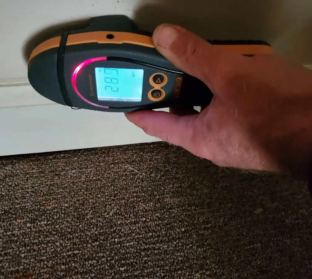 Moisture detection at baseboard during Burst Pipe Cleanup in Waikele
